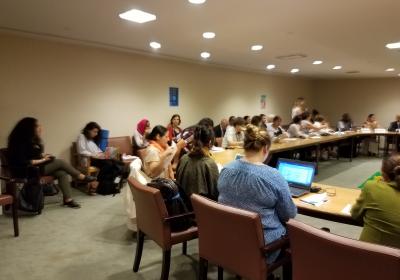 July 12, 2017 IPMGSDG Side Event